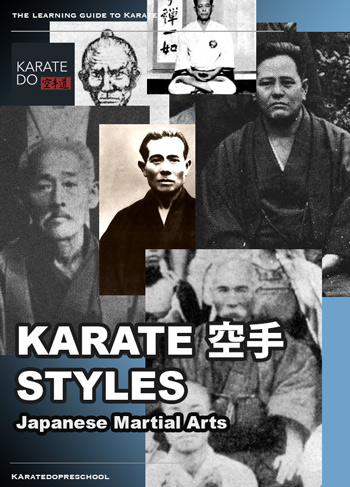 Karatedo Preschool Karate 空手 Styles Apple Book