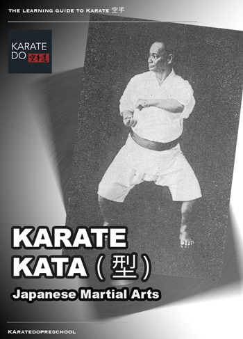 Apple Books Kata Martial Arts